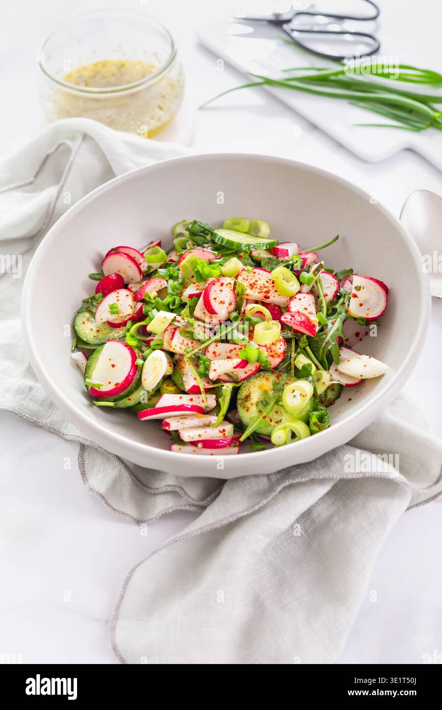 Insalata di cetrioli freschi di primavera e ravanelli con erba cipollina Foto Stock