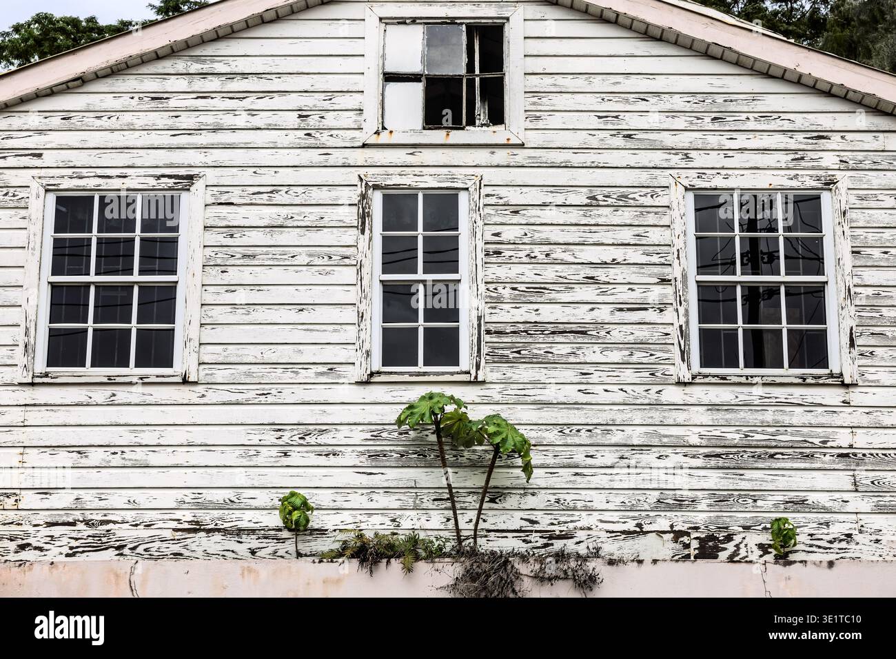 Edificio in legno, Lucas Street, St George's, Grenada Foto Stock