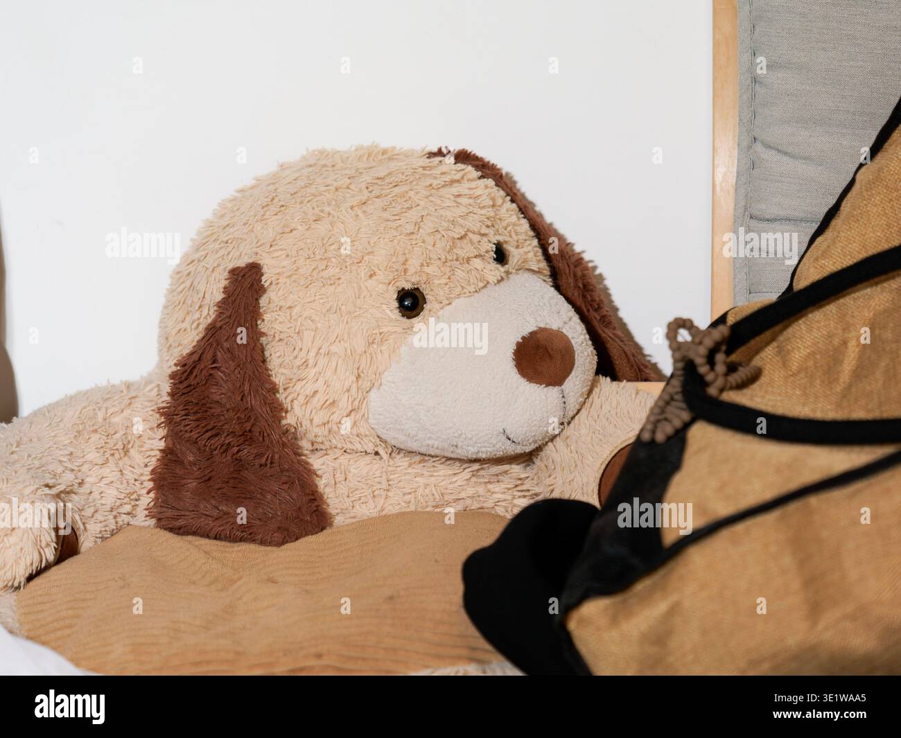 Primo piano di un peluche cane giocattolo appoggiato su una superficie interna, simboleggia il comfort e la morbidezza dell'infanzia. Ambiente accogliente, ideale per concetti legati ai bambini, h Foto Stock