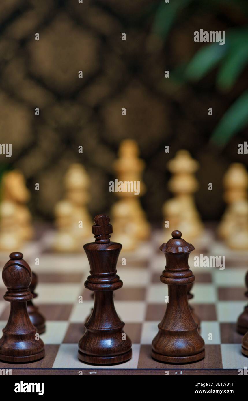 Primo piano di scacchi in legno su una scacchiera, focalizzandosi sul re e la regina neri con pezzi bianchi sfocati sullo sfondo Foto Stock