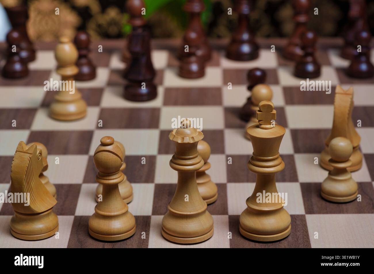 Vista strategica dei pezzi di legno degli scacchi su una tavola. Regina bianca e re in primo piano. Configurazione di giochi professionali per la competizione e la pianificazione Foto Stock