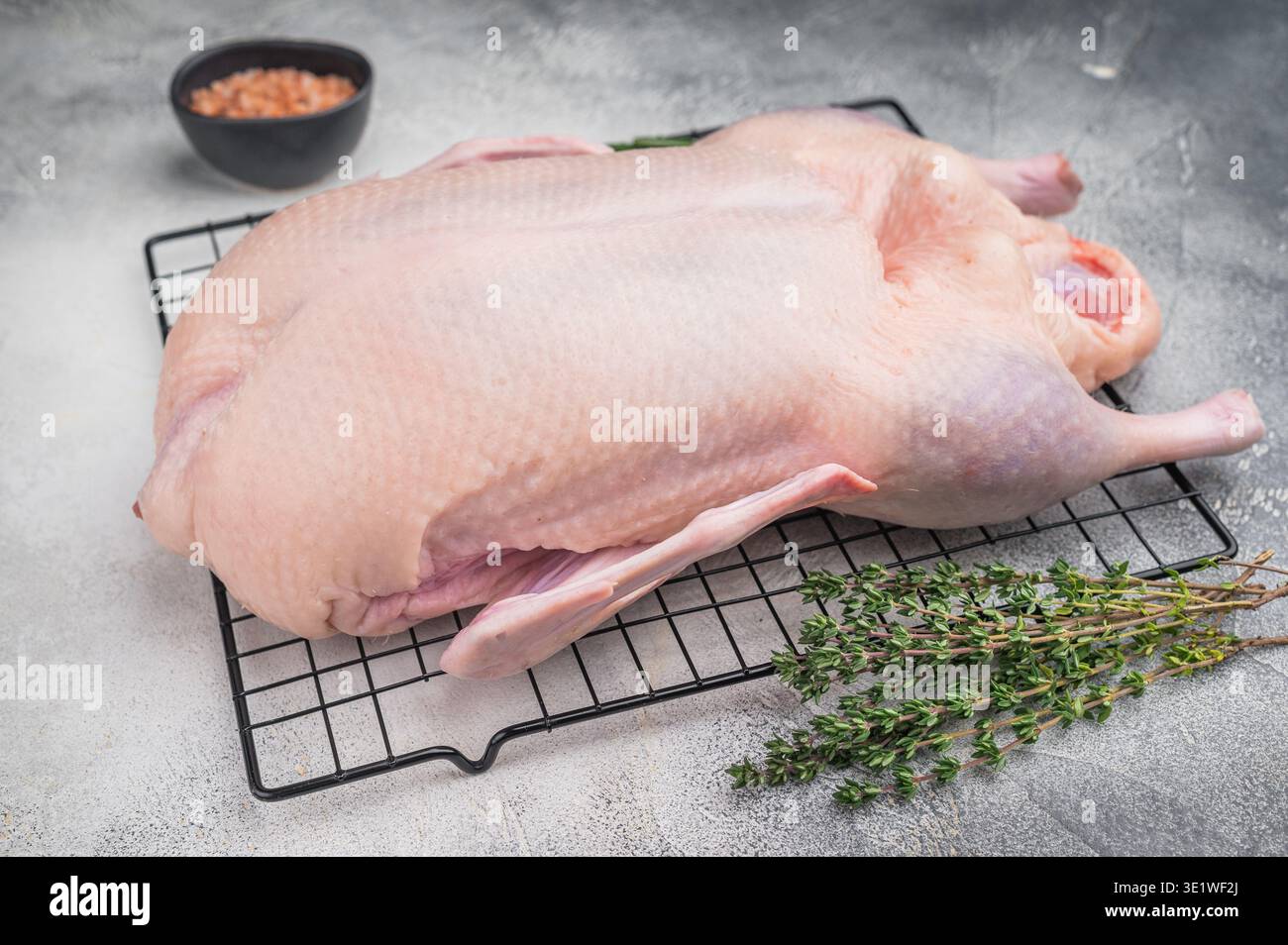 Anatra cruda fresca su griglia metallica con erbe aromatiche su sfondo grigio, ideale per preparazioni culinarie gourmet e contenuto di brodo alimentare Foto Stock