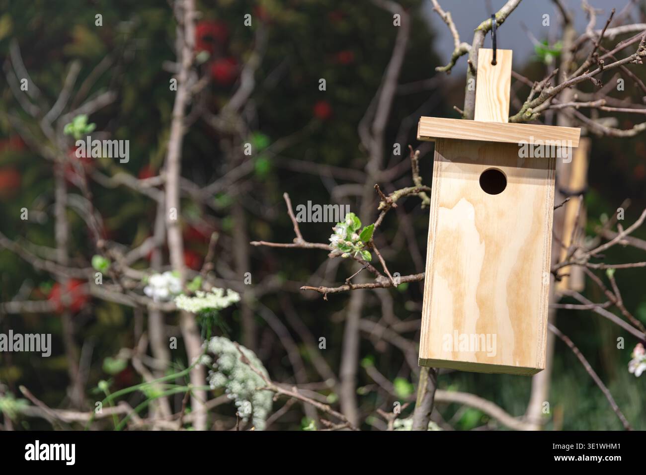 Una birdhouse di legno è appesa a un ramo di albero all'aperto e offre un habitat naturale e decorazioni per il giardino in cui sono visibili i fiori primaverili e il fogliame Foto Stock
