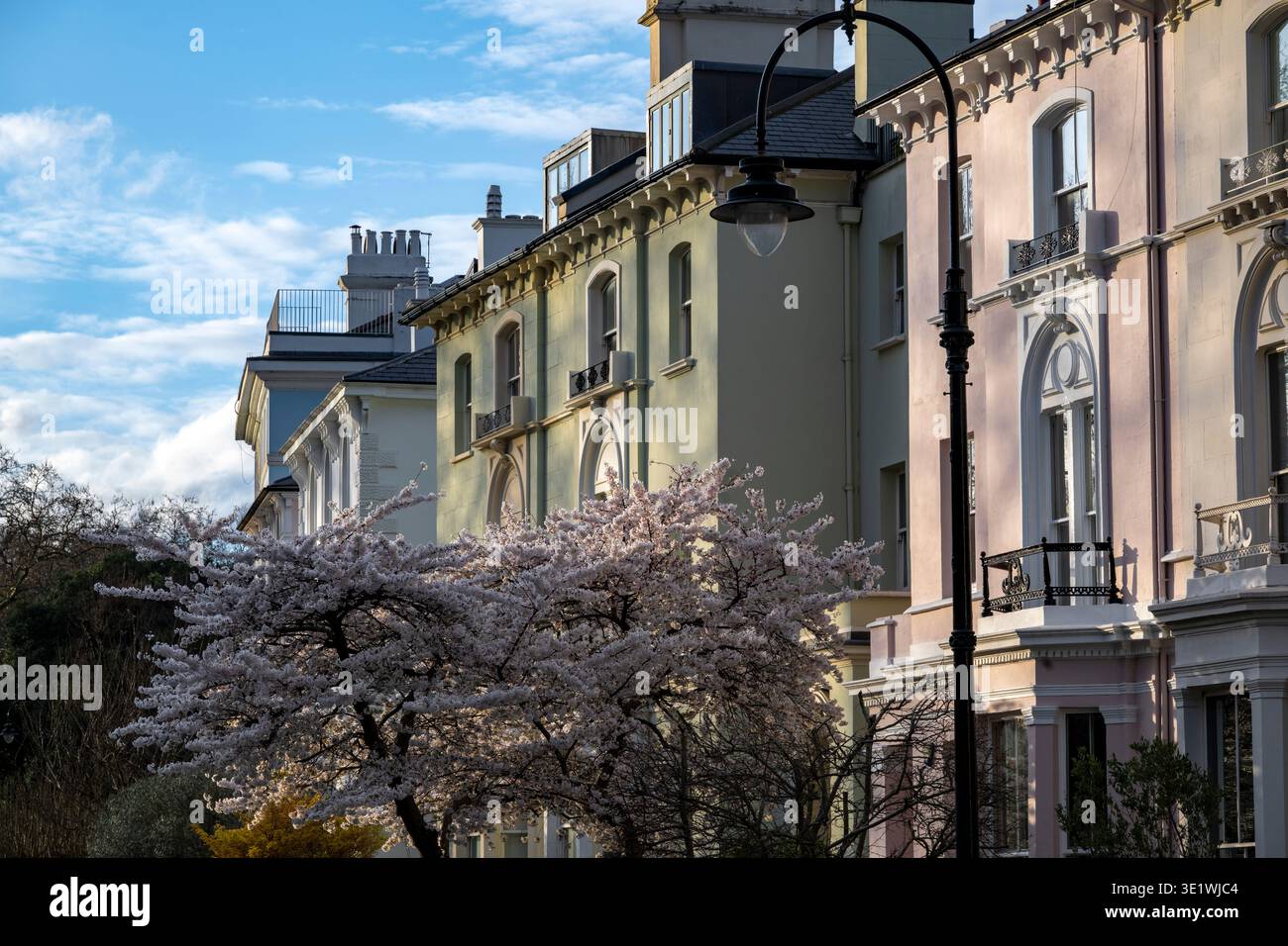 Sole primaverile a Primrose Hill a Londra Foto Stock