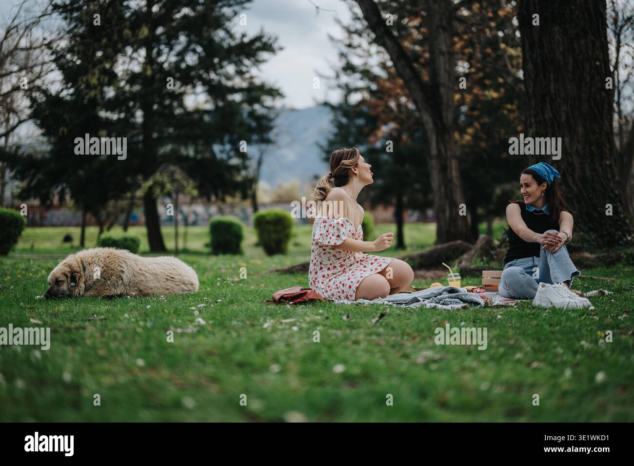Due amici fanno un picnic in un parco con un cane soffice che riposa nelle vicinanze Foto Stock