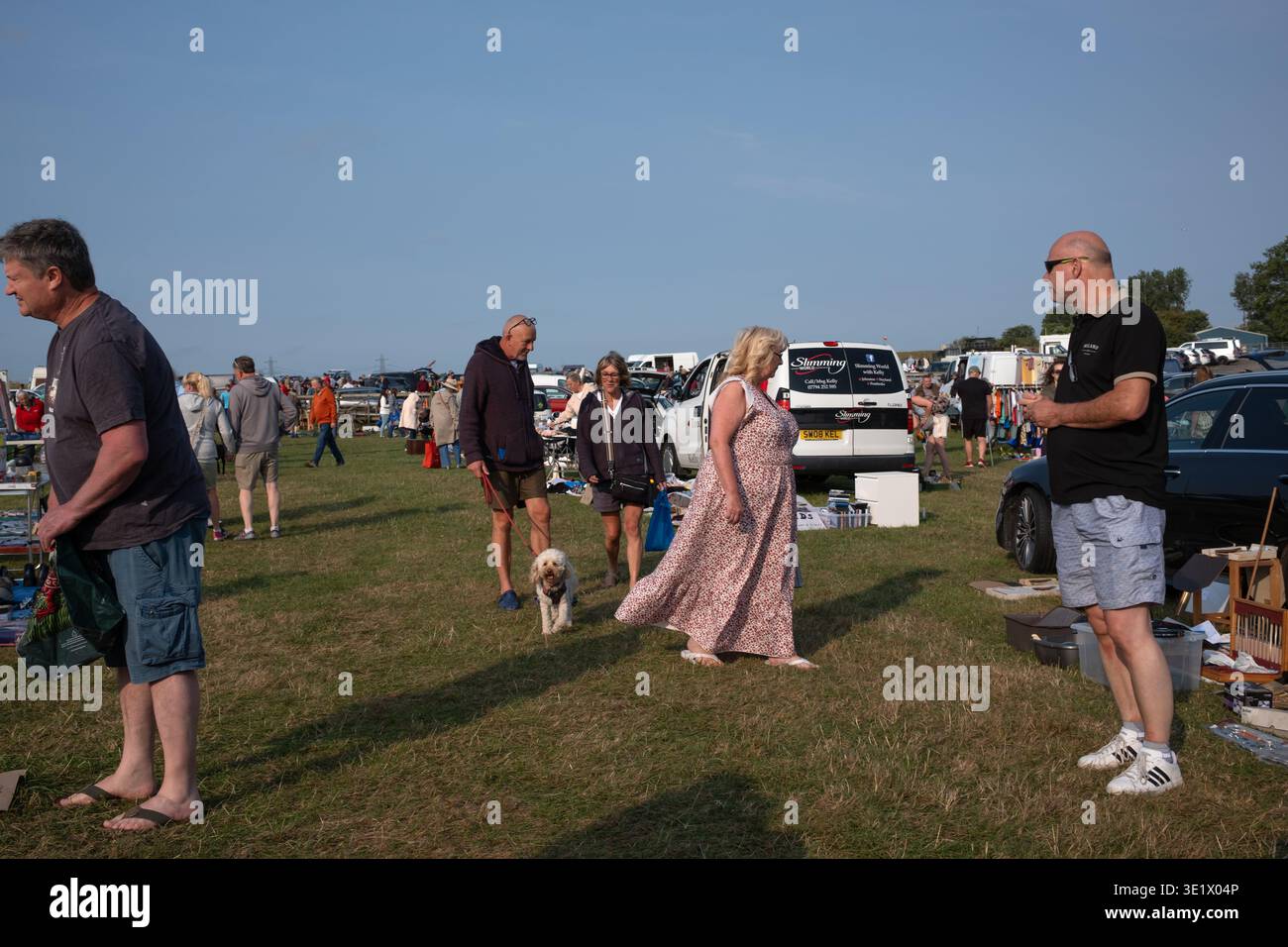 Mercato Carew e vendita di stivali per auto a Pembrokeshire Galles occidentale Regno Unito Foto Stock