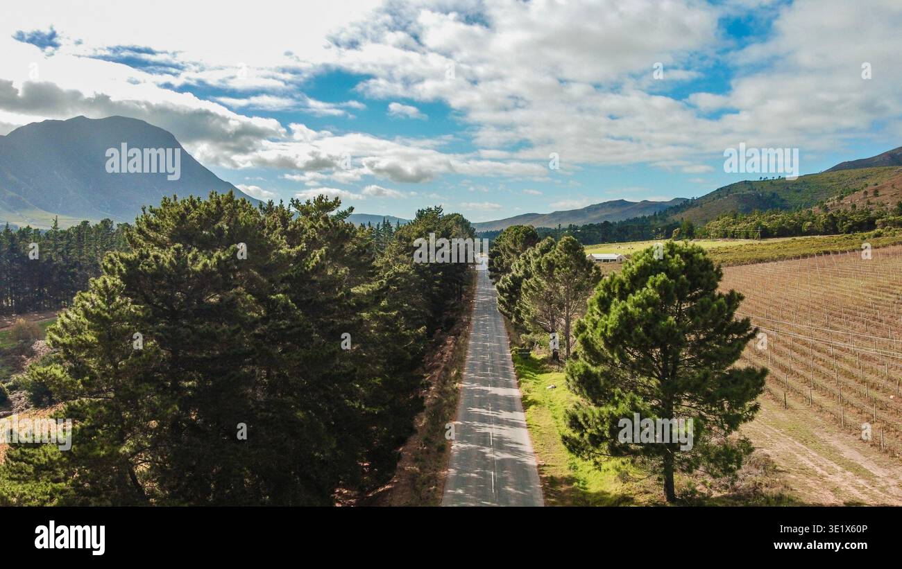 Vista aerea della valle del vino a Hermanus, città del Capo Foto Stock