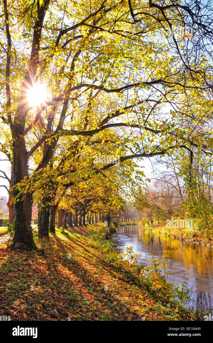 Fotografia retroilluminata di un viale di tiglio lungo un canale di Augusta, Baviera, Germania, Europa Foto Stock