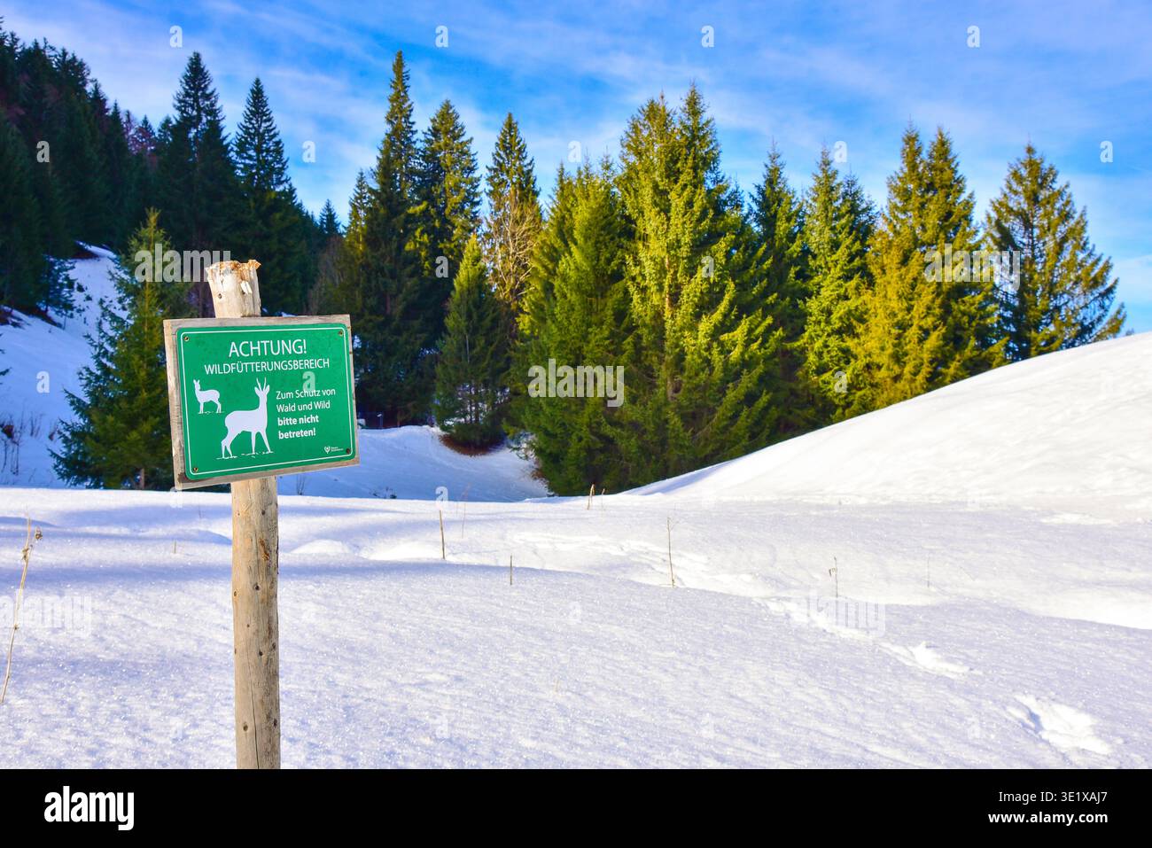 Cartello informativo in una riserva naturale in una valle delle Alpi in Austria, Europa Foto Stock