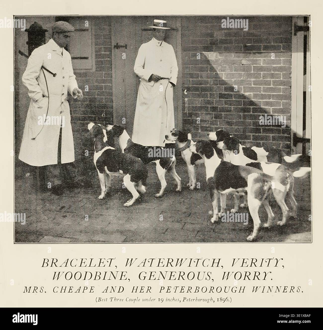Mrs. Cheape in piedi con due addestratori e i suoi premiati cani, braccialetto, strega d'acqua, Verity, Woodbine, generoso, e preoccupante, a Peterborough nel 1896, celebrando il loro successo. The Sportswoman's Library edita da Frances E. Slaughter Publisher Westminster : A. Constable 1898 Foto Stock