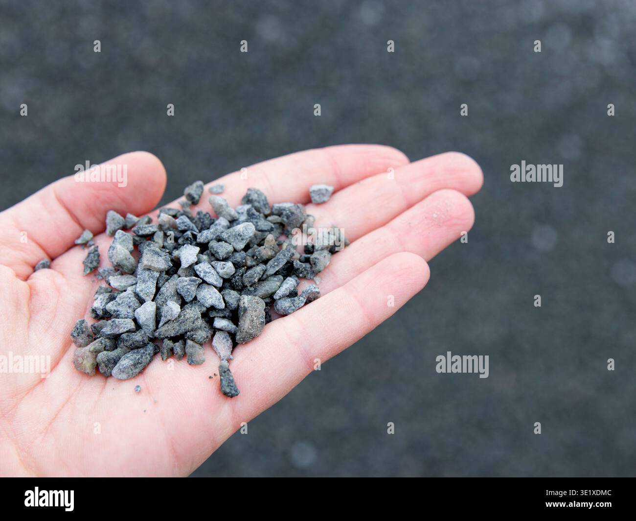 Tenendo a mano piccoli pezzi di ghiaia grigia su uno sfondo scuro sfocato, mostrando la consistenza e le dimensioni delle pietre in un ambiente naturale Foto Stock