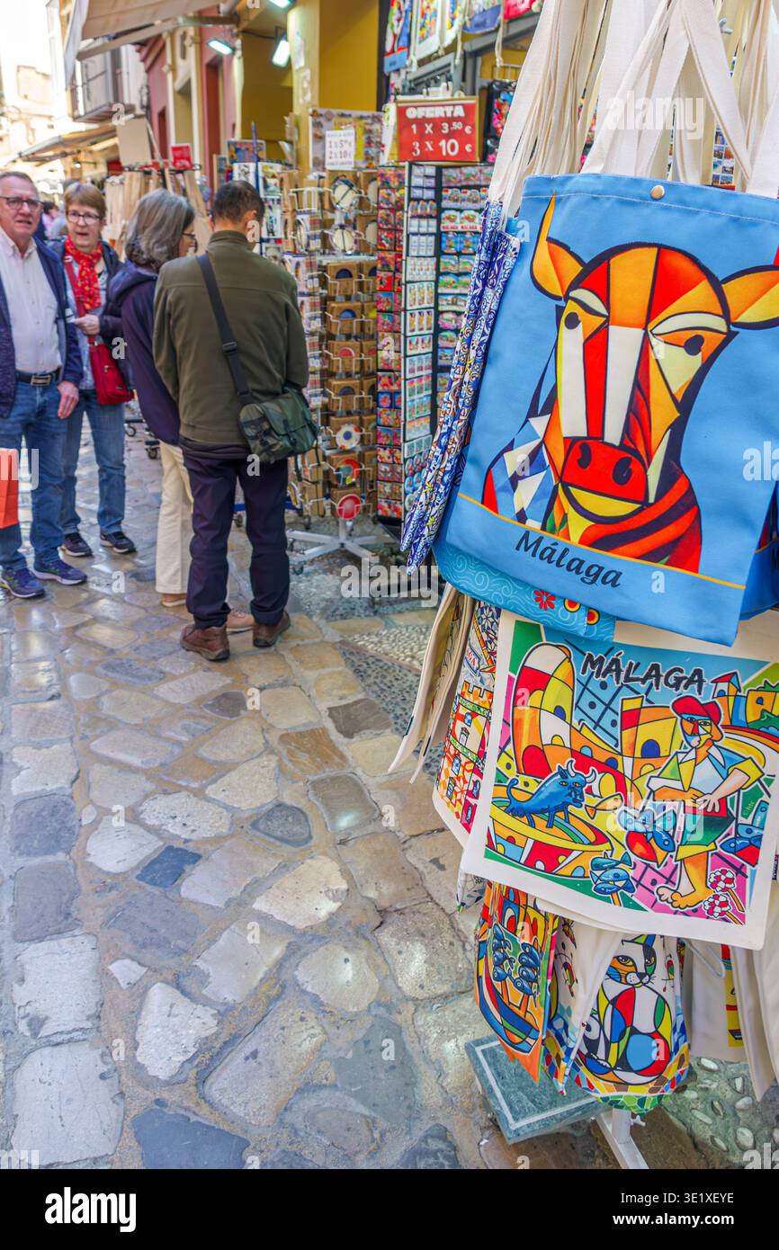 Malaga Spagna, Andalusia Andalucia, Centro Historico Antiguo de Malaga, centro storico, borse tote souvenir Malaga colorato stile Picasso Foto Stock
