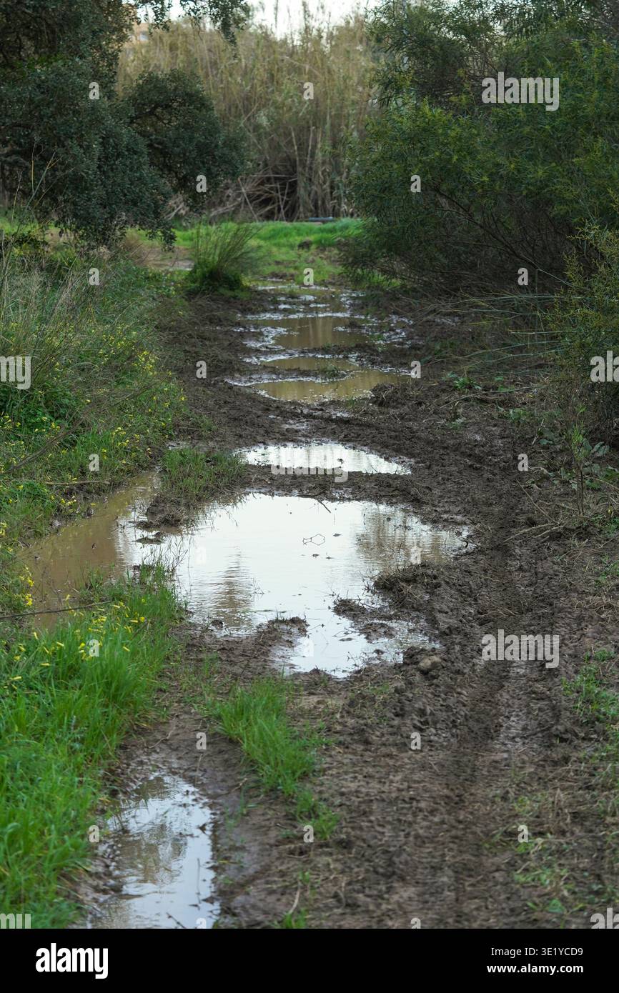 Sentiero fangoso in un'area rurale o boscosa, fortemente saturo di acqua. dopo forti piogge. Foto Stock
