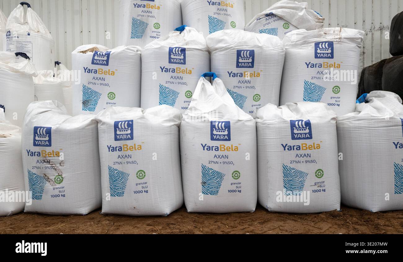 1000 kg sacchetti di fertilizzante agricolo immagazzinati in un edificio agricolo Foto Stock