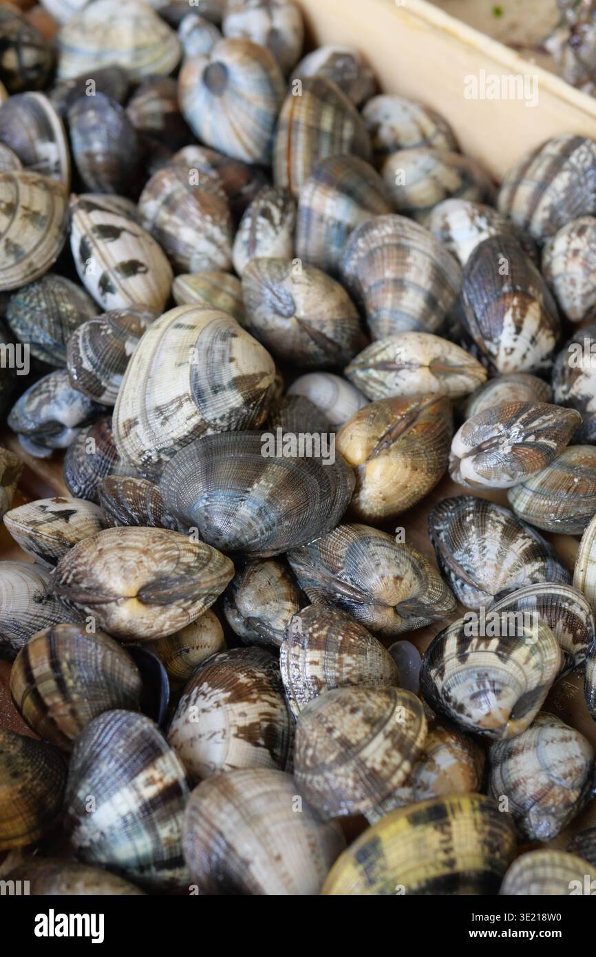 Conchiglie raccolte in un mercato durante una giornata di sole Foto Stock