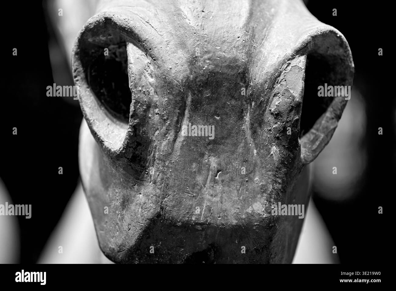 Primo piano bianco e nero di un muso di cavallo con statua in argilla nella fossa di sepoltura del Mausoleo dell'imperatore Qin Shi Huang a Xi'an Foto Stock