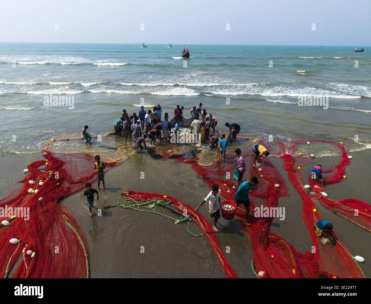 Cox's Bazar, Bangladesh - 10 marzo 2026: Vista aerea dei pescatori che trasportano in una vivace rete rossa piena di abbondanza dell'oceano lungo la costa sabbiosa. Foto Stock