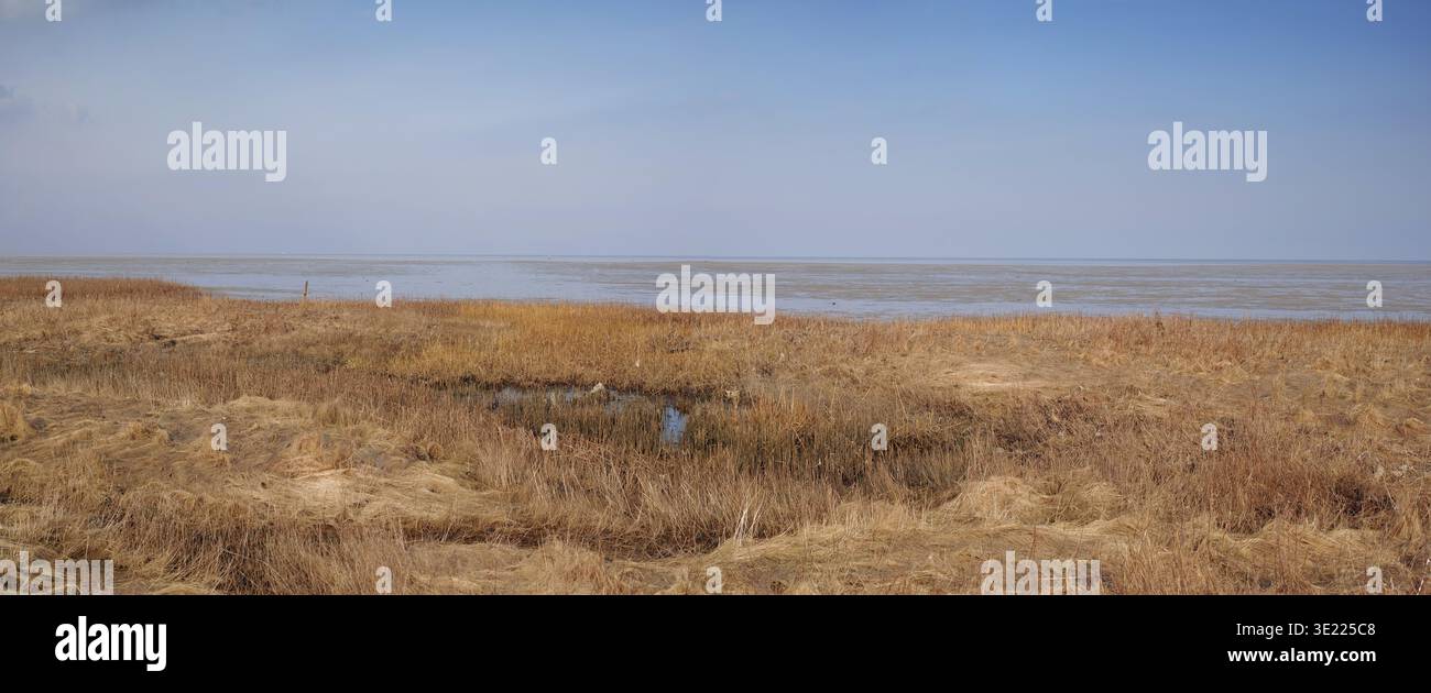 Ambiente, lago e paesaggio con campo in natura per la paglia, ecologia e viaggiare con l'erba morta. Siccità, spazio e cambiamento climatico con l'esterno Foto Stock