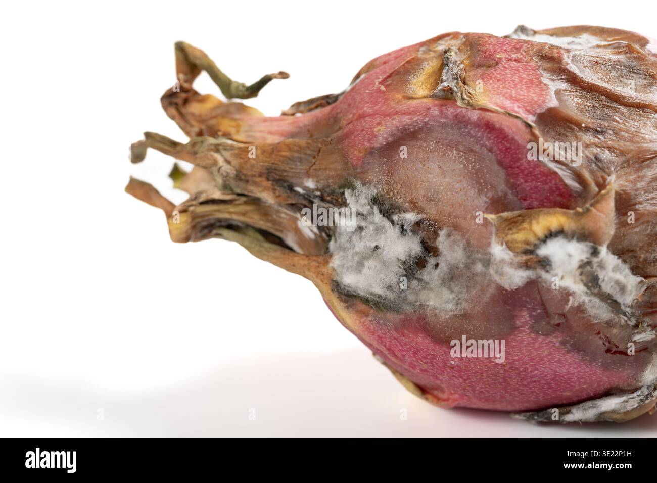 frutta del drago molto ammuffita su bianco Foto Stock