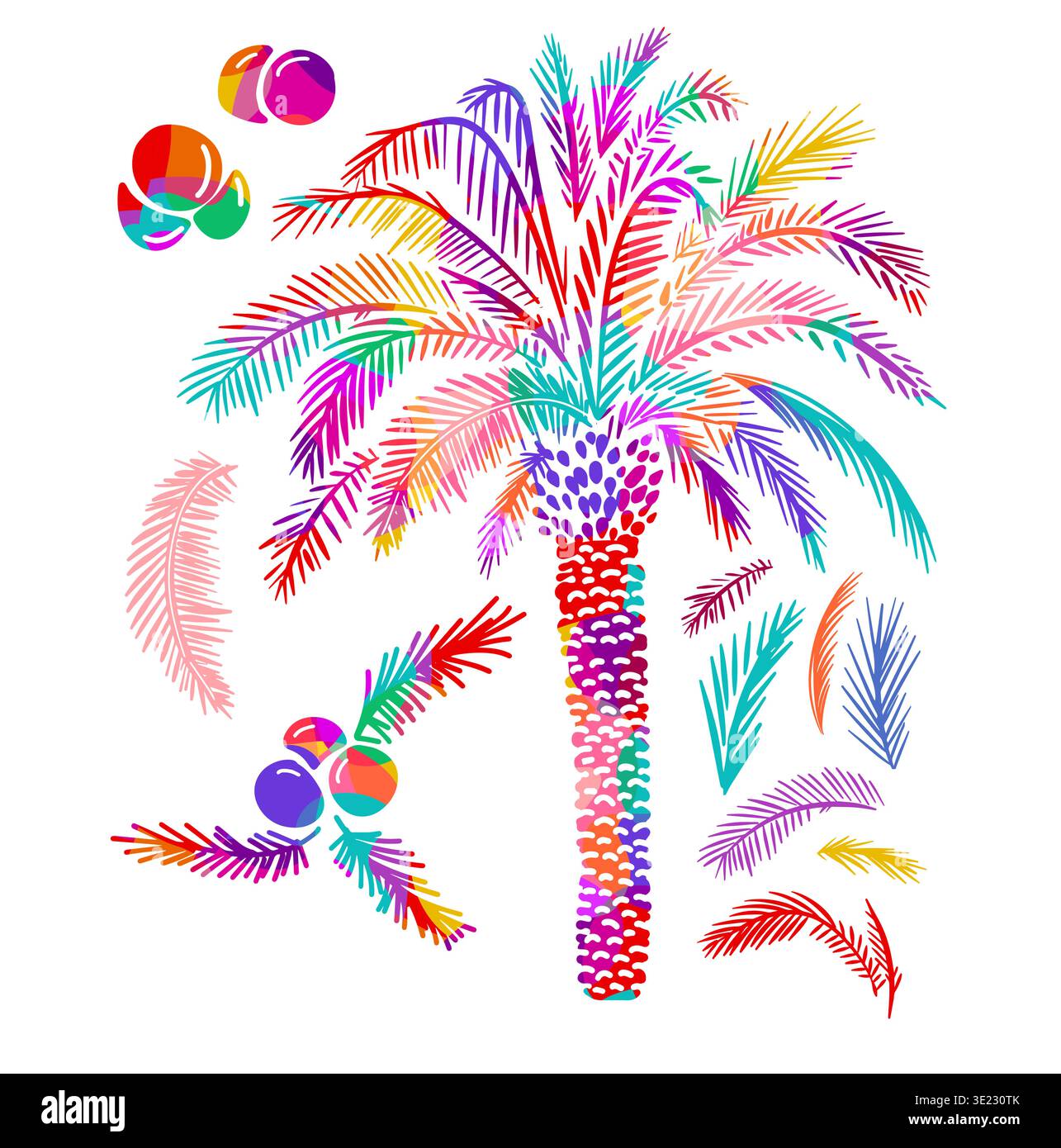 Oggetto: Palma colorata. Disegnato a mano. Non ai, illustrazione vettoriale. Illustrazione Vettoriale