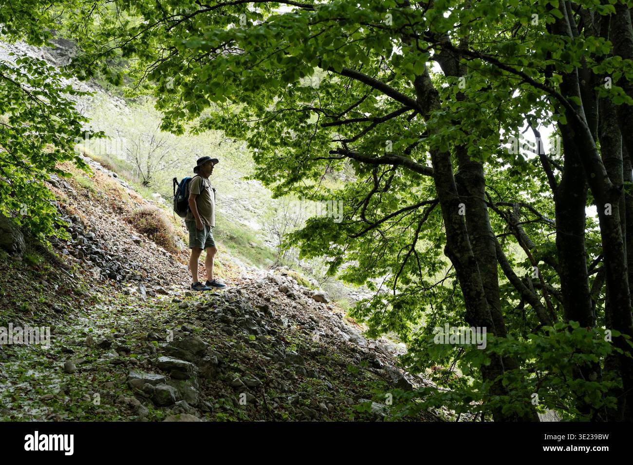 Il massiccio dell'Orjen, Montenegro Foto Stock