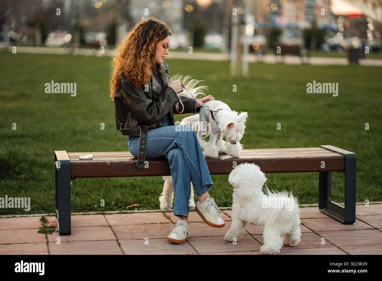 Donna seduta sulla panchina del parco con due cani Foto Stock