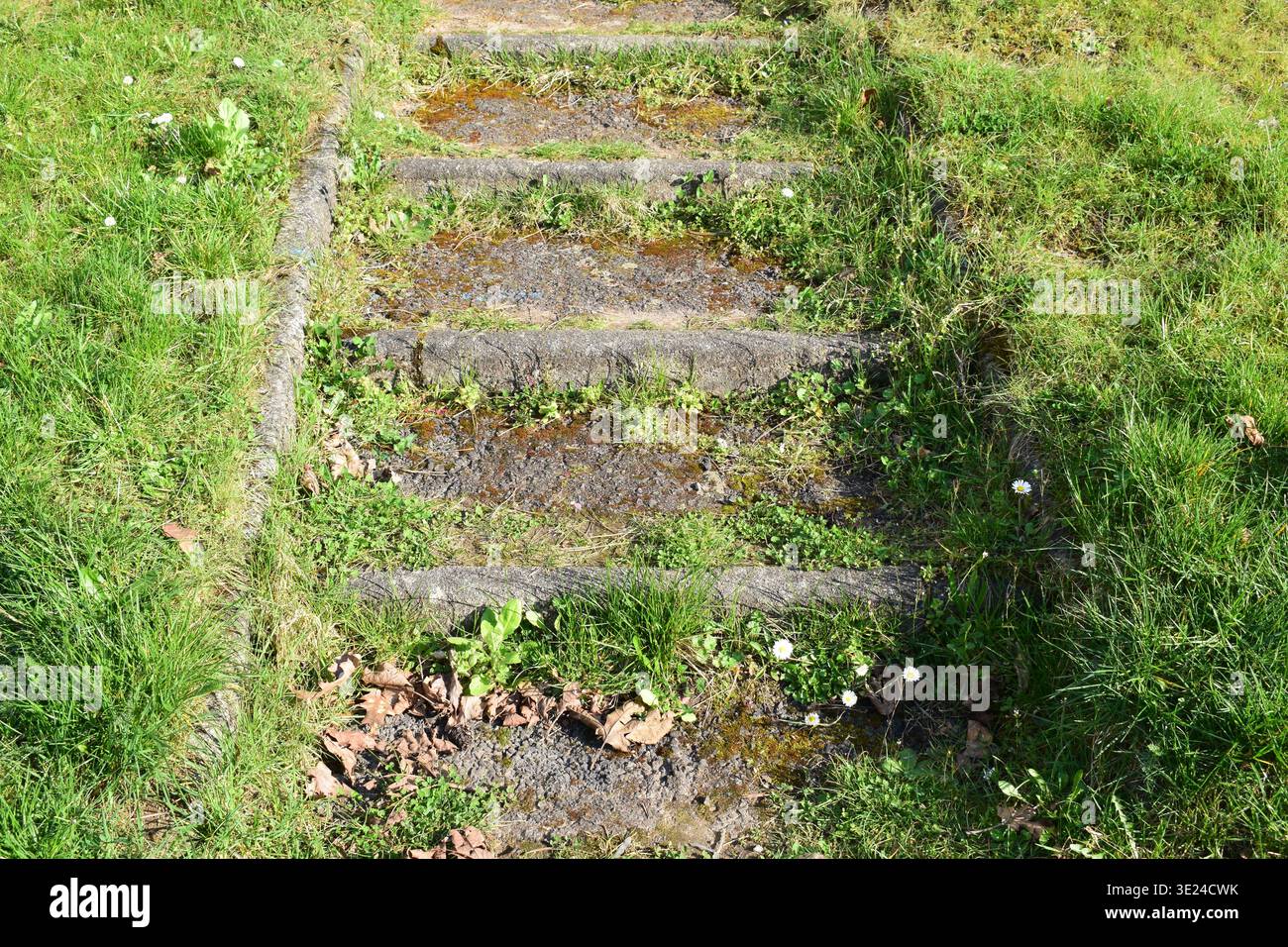 scala verde ricoperta Foto Stock