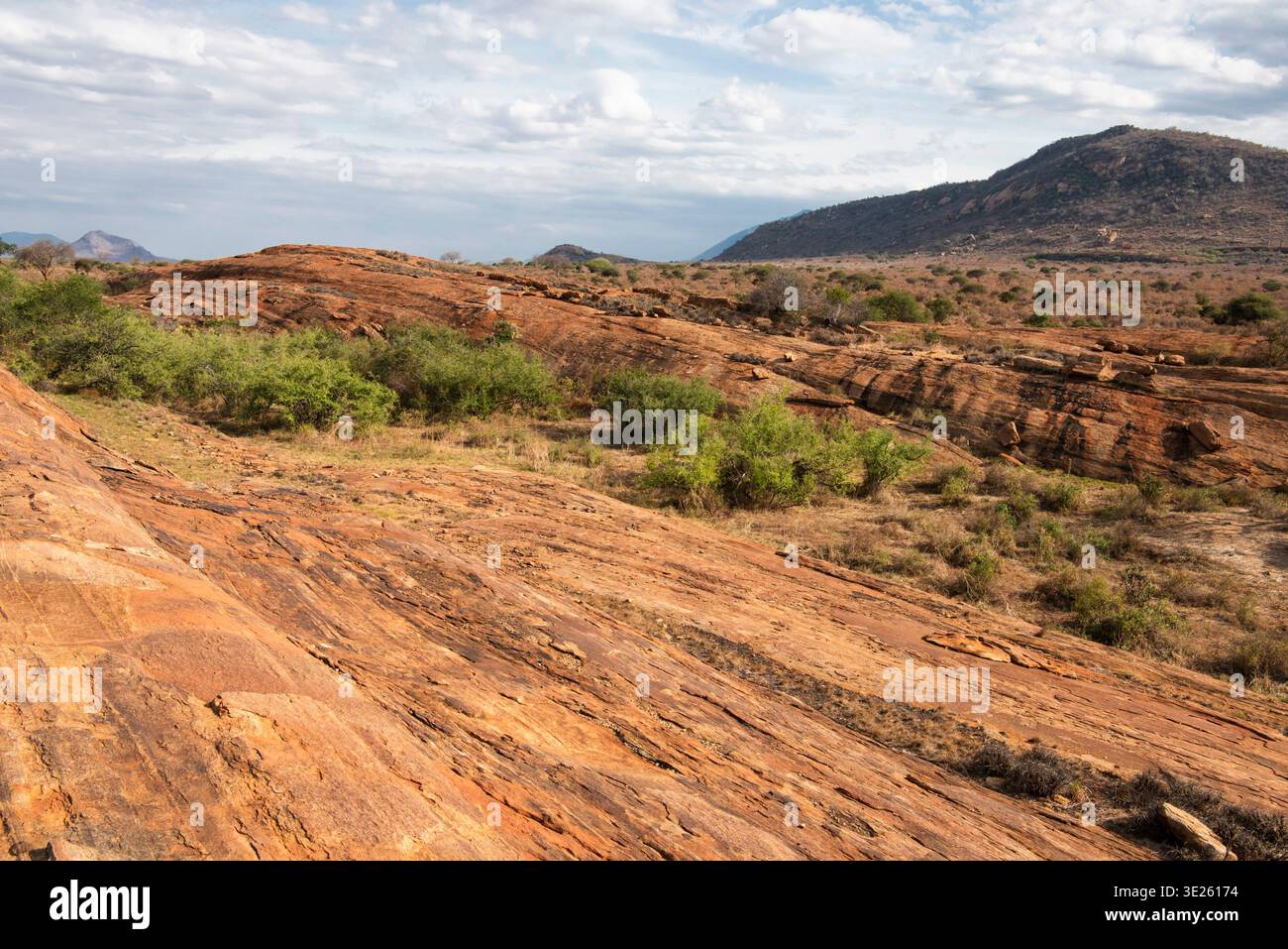 Mudanda Rock, Tsavo East National Park, Kenya Foto Stock