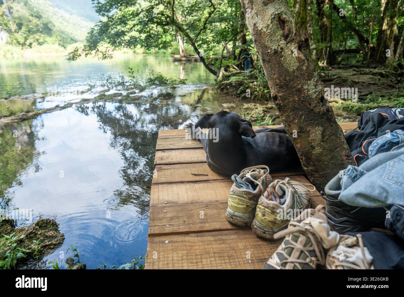 Semuc Champey, Guatemala - Un cane nero riposa su una banchina di legno che si affaccia su un tranquillo lago nella foresta, con scarpe da trekking e attrezzature all'aperto nelle vicinanze, trasportando piselli Foto Stock