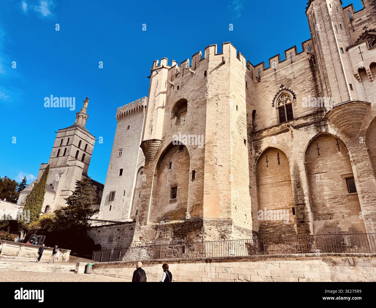 Palais des Papes - Palazzo dei Papi, Avignone, Vaucluse, Provenza, Francia Foto Stock