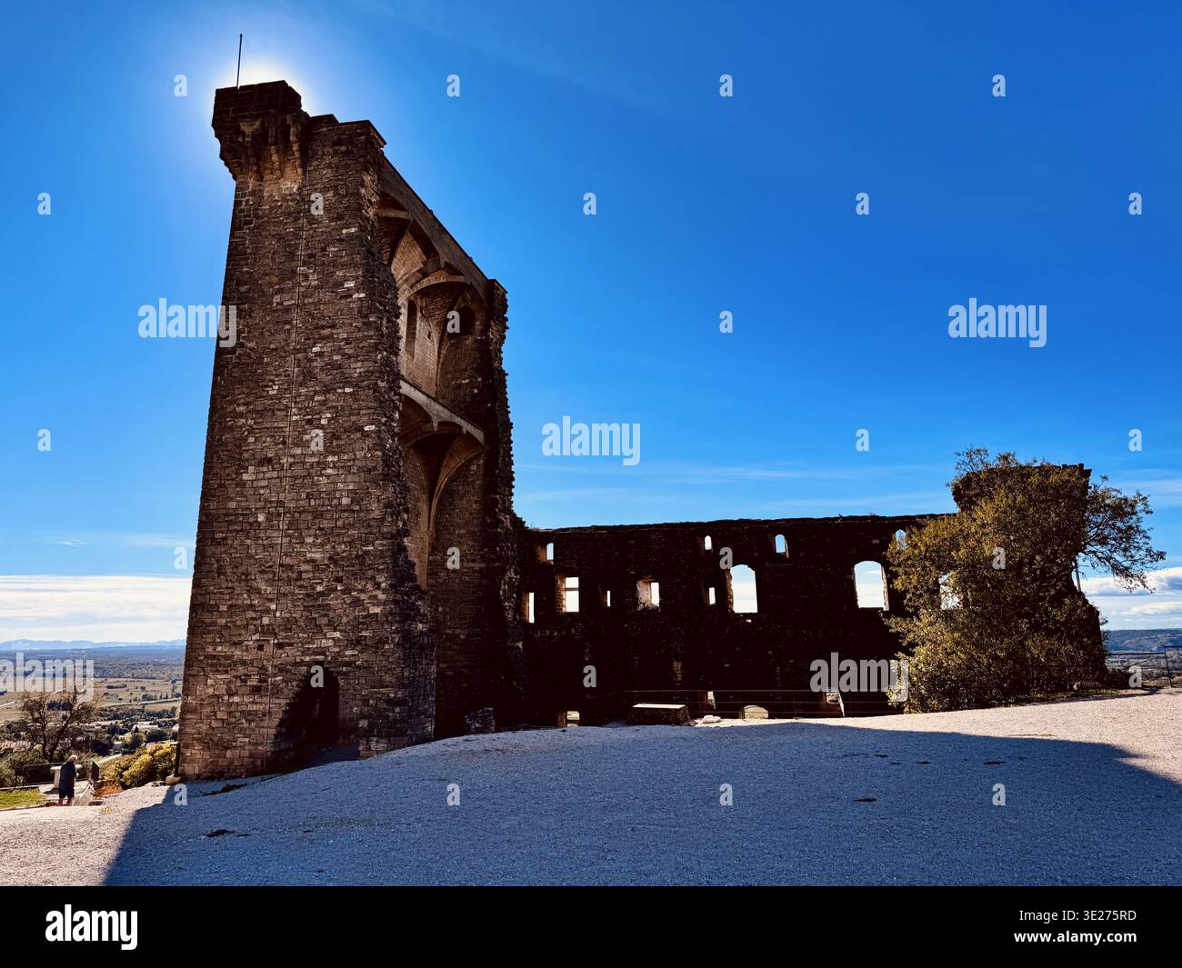 Rovine del castello, Chateauneuf du Pape in Provenza, Francia Foto Stock
