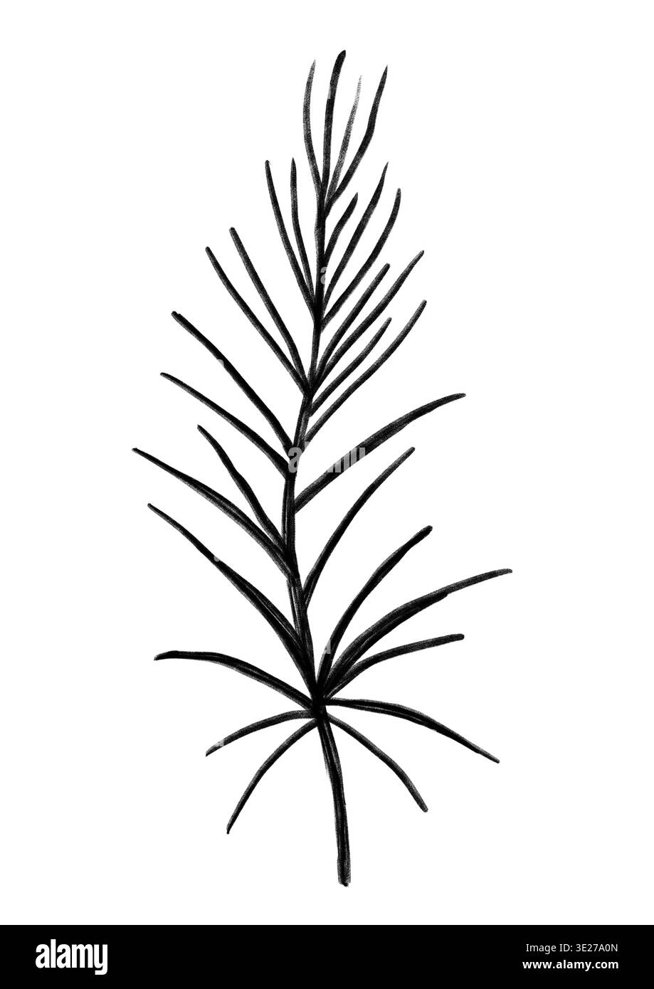 Silhouette a inchiostro minimalista di Palm Leaf Design. Modern Linear ArtWork of Palm Frond for Decorating Spaces. Illustrazione a inchiostro elegante e semplice di Palm Leaf adatta per diversi progetti creativi illustrazioni disegnate a mano. Foto Stock