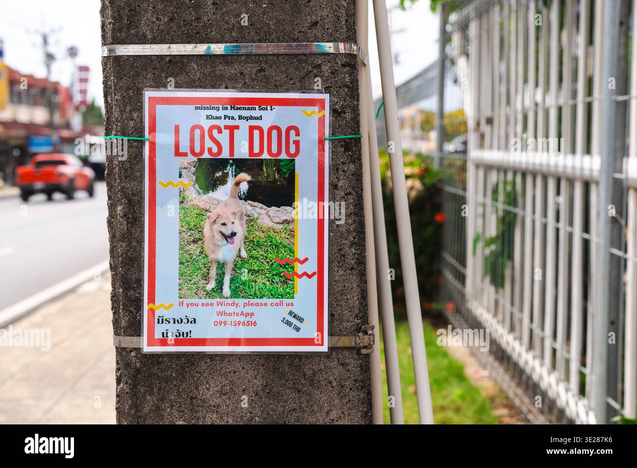 Ko Samui, Thailandia, 7 marzo 2026: Poster del cane smarrito con foto dell'animale attaccato al palo in cemento accanto alla strada Foto Stock