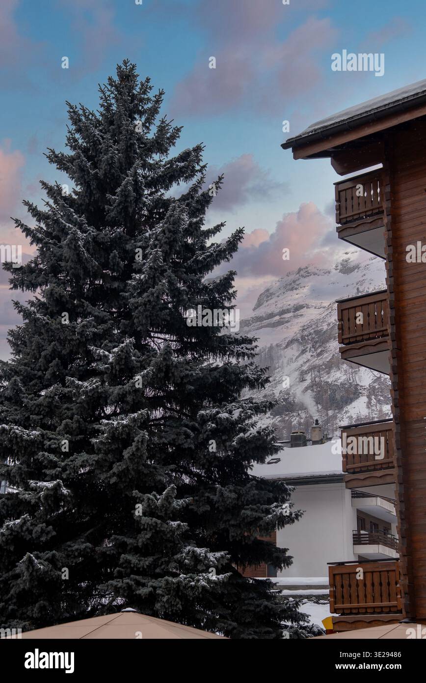 Neve verde sempreverde e chalet con vetta alpina a Zermatt, Svizzera Foto Stock