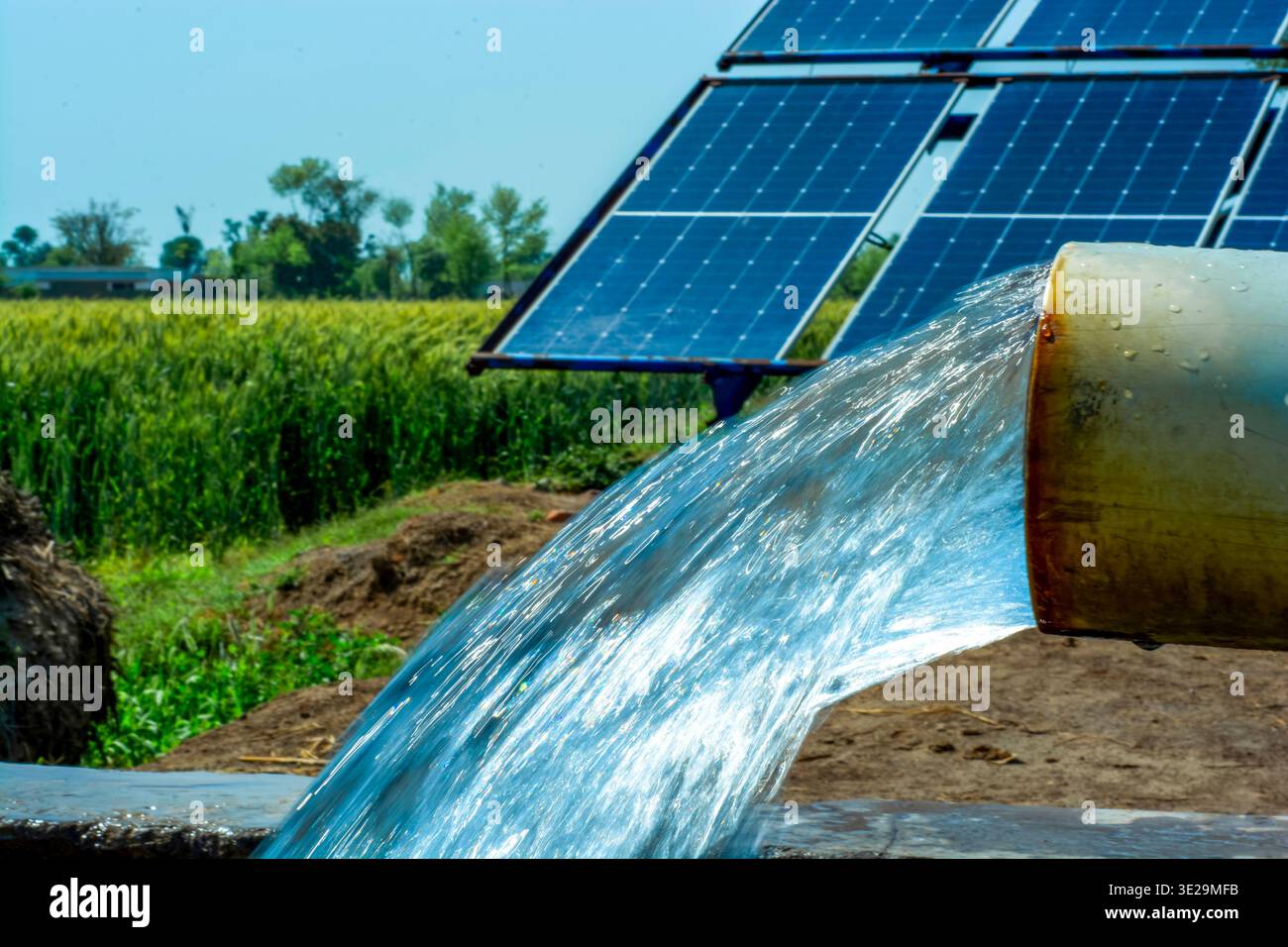 Sotto un cielo luminoso, un pozzo a tubo alimentato a energia solare pompa l'acqua in un fiorente campo di grano, simboleggiando l'innovazione e l'autosufficienza in agricoltura Foto Stock