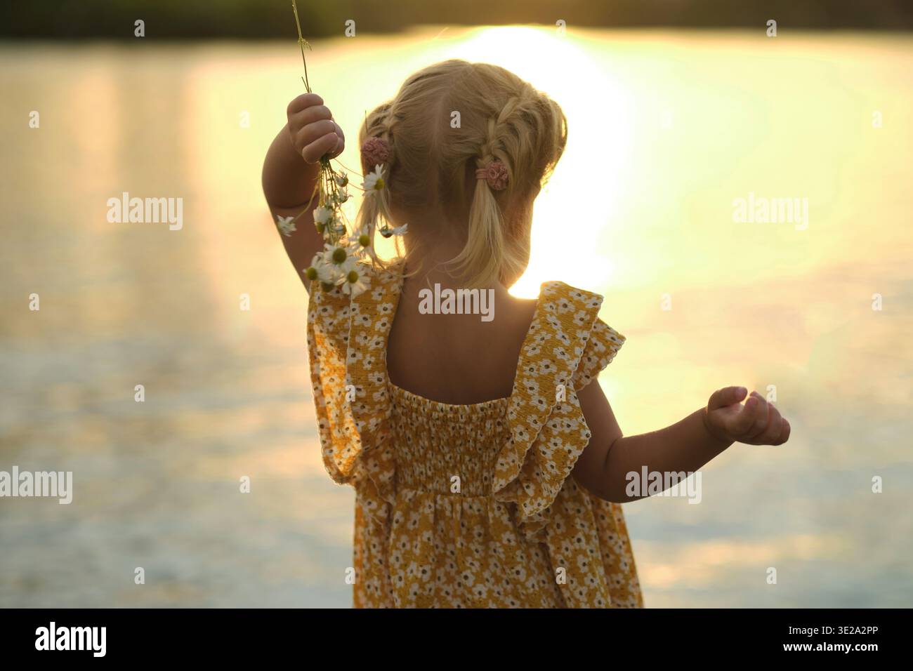 il cherubino di due anni guarda al tranquillo lago, con la sua silhouette incorniciata da un tramonto ad acquerello. Con un bouquet di margherite in mano. curiosità giovanile Foto Stock