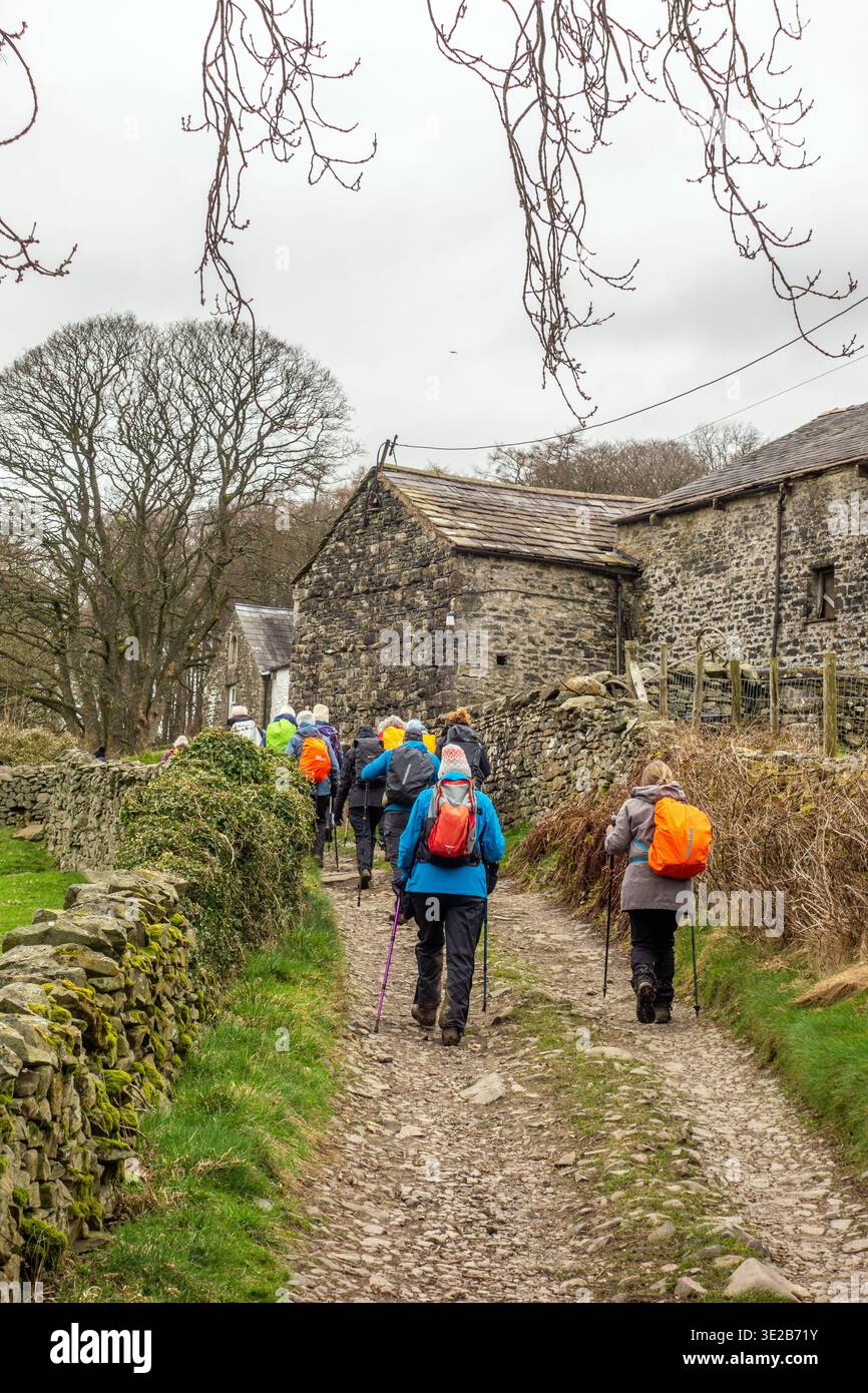 Gruppo di escursionisti che si arrampicano e fanno lo zaino in spalla lungo il sentiero di lunga distanza Dales Way che si avvicina al villaggio Cumbro di Sedbergh Foto Stock