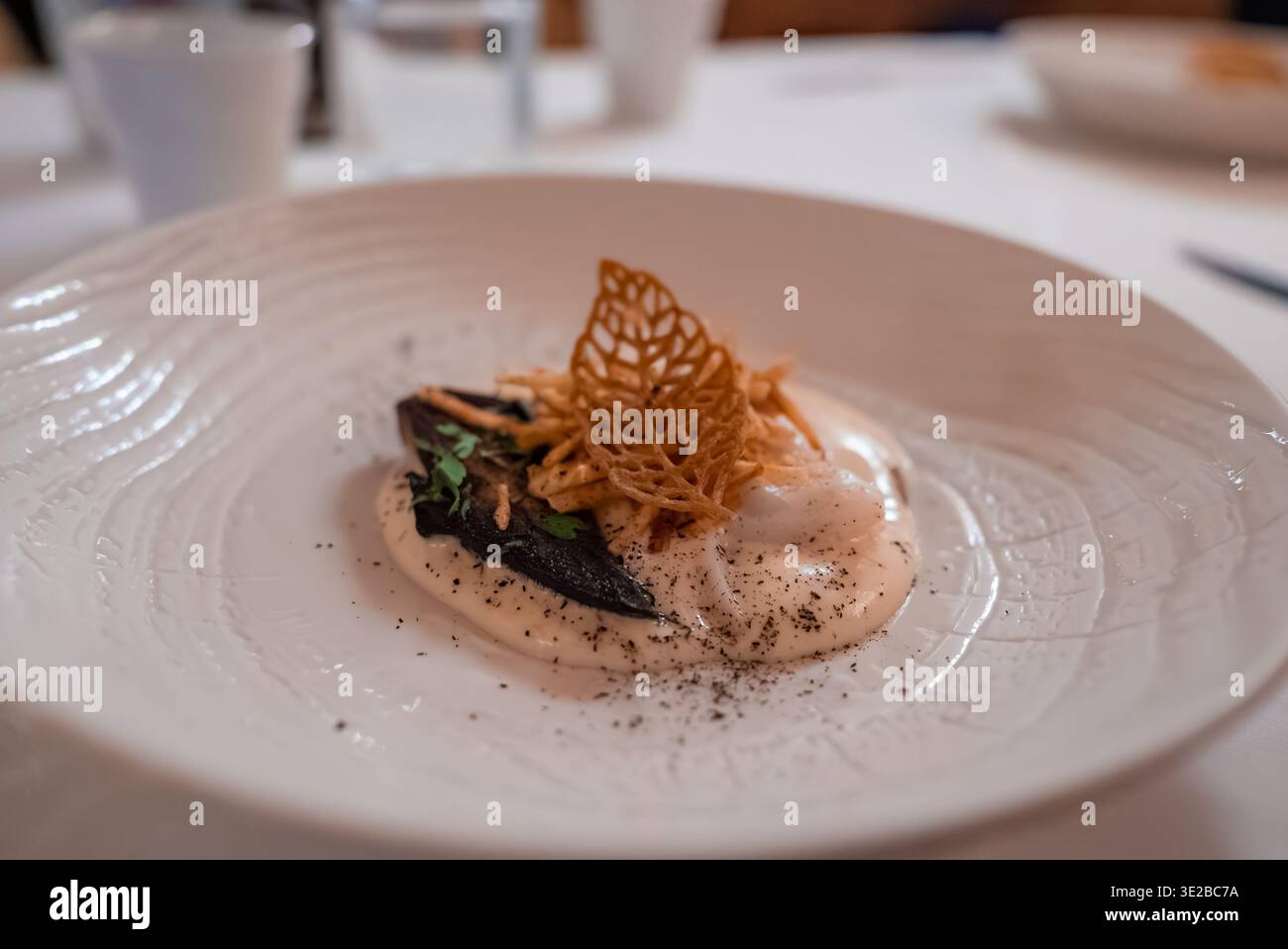 Ottimi funghi da pranzo con schiuma e croccante a reticolo a Oberlech, Austria Foto Stock
