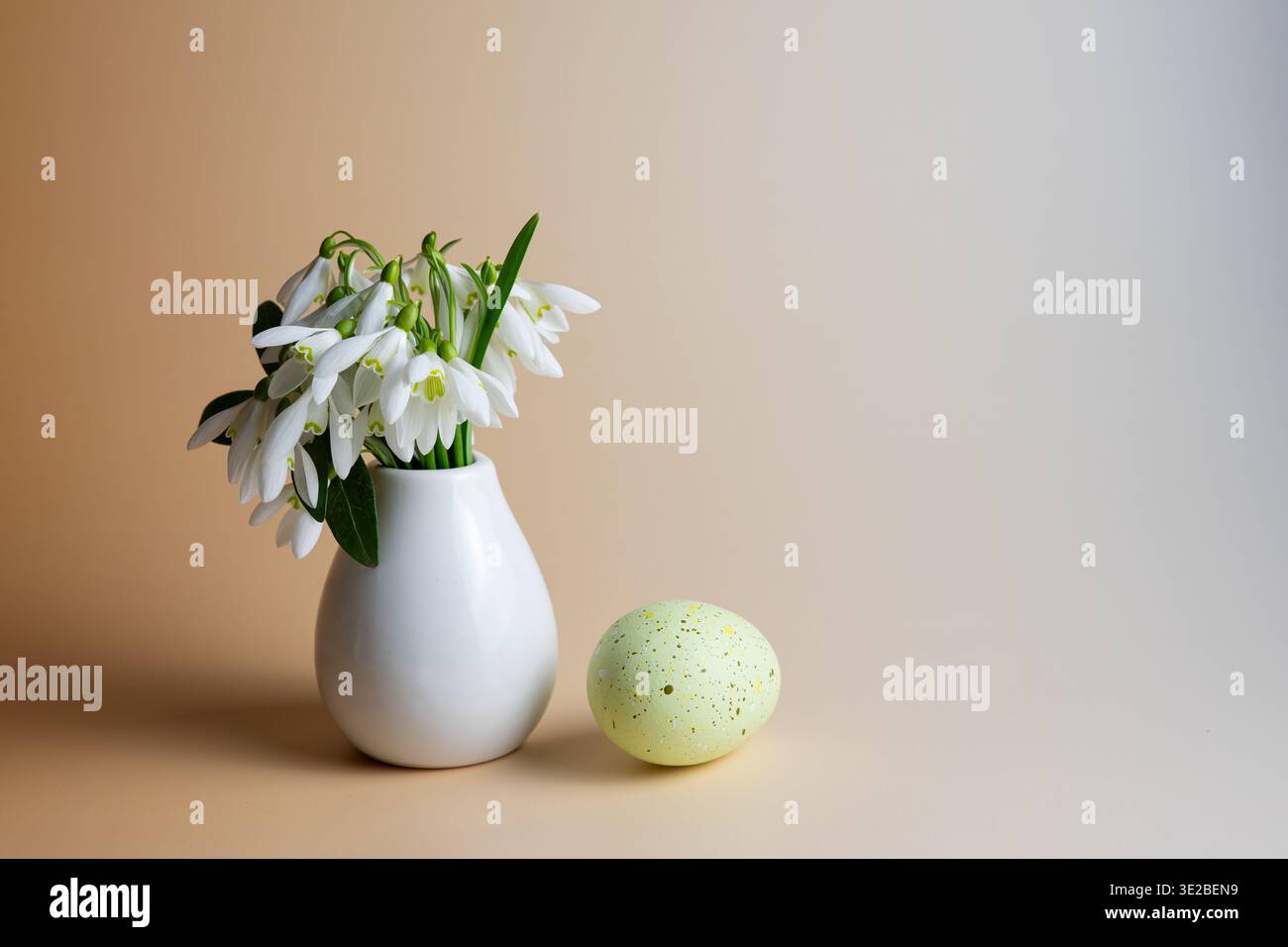 Gocce di neve Ostara in vaso bianco con uovo macchiato e spazio copia Foto Stock
