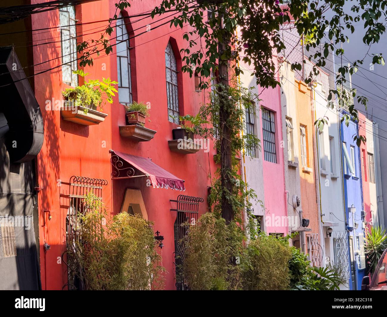 Città del Messico, Messico - 22 marzo 2024. Case Couloured in via Sinaloa Foto Stock