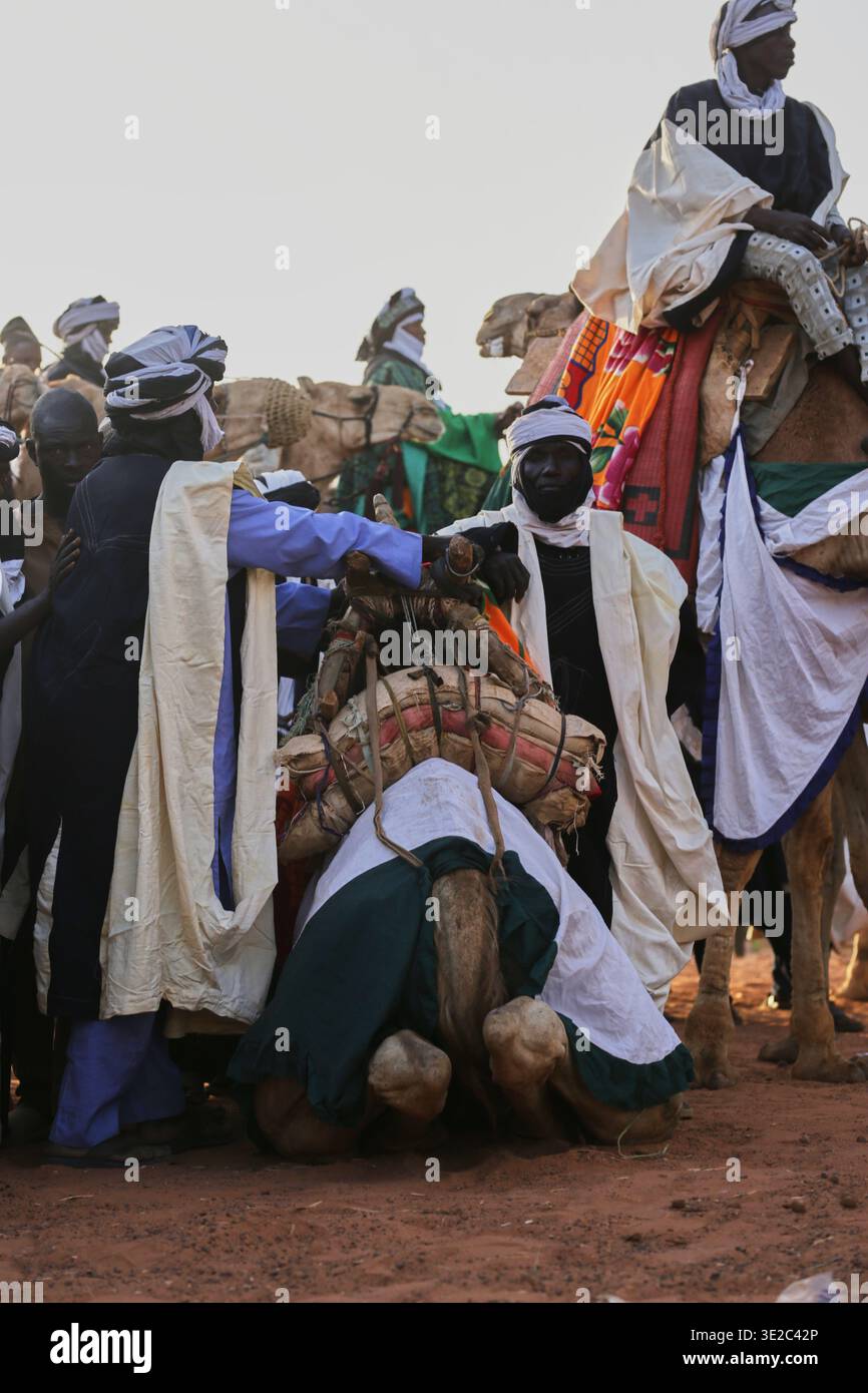 Argugun, Nigeria - 13 febbraio 2026: Vista dei cammelli carichi di merci, i loro carichi colorati contrastano con i toni terrosi del villaggio di Mata Fada Foto Stock