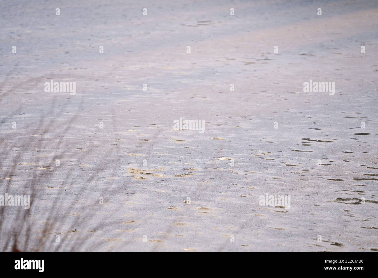 Una foto di sfondo di un lago ghiacciato con rami sfocati in primo piano. Foto orizzontale Foto Stock
