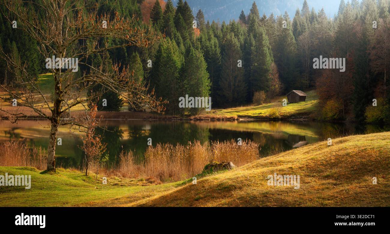 Paesaggio pittoresco in un lago delle Alpi tedesche, con alberi sempreverdi, luce solare delicata e colori autunnali nella vegetazione Foto Stock