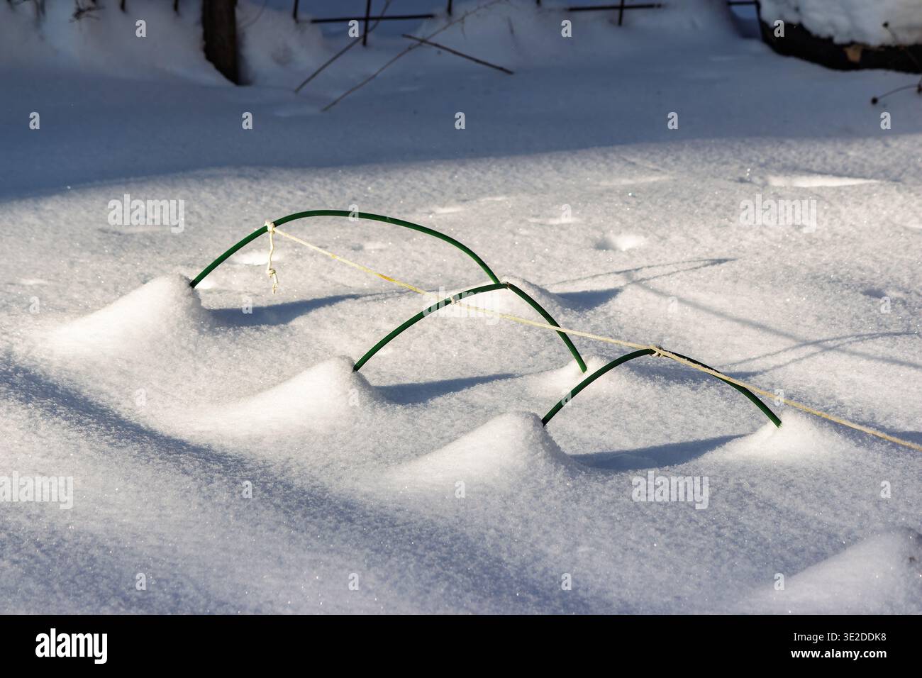 Il giardino invernale minimalista mostra i supporti verdi che sbattono sulla neve bianca e incontaminata, in attesa della stagione delle piantagioni primaverili Foto Stock