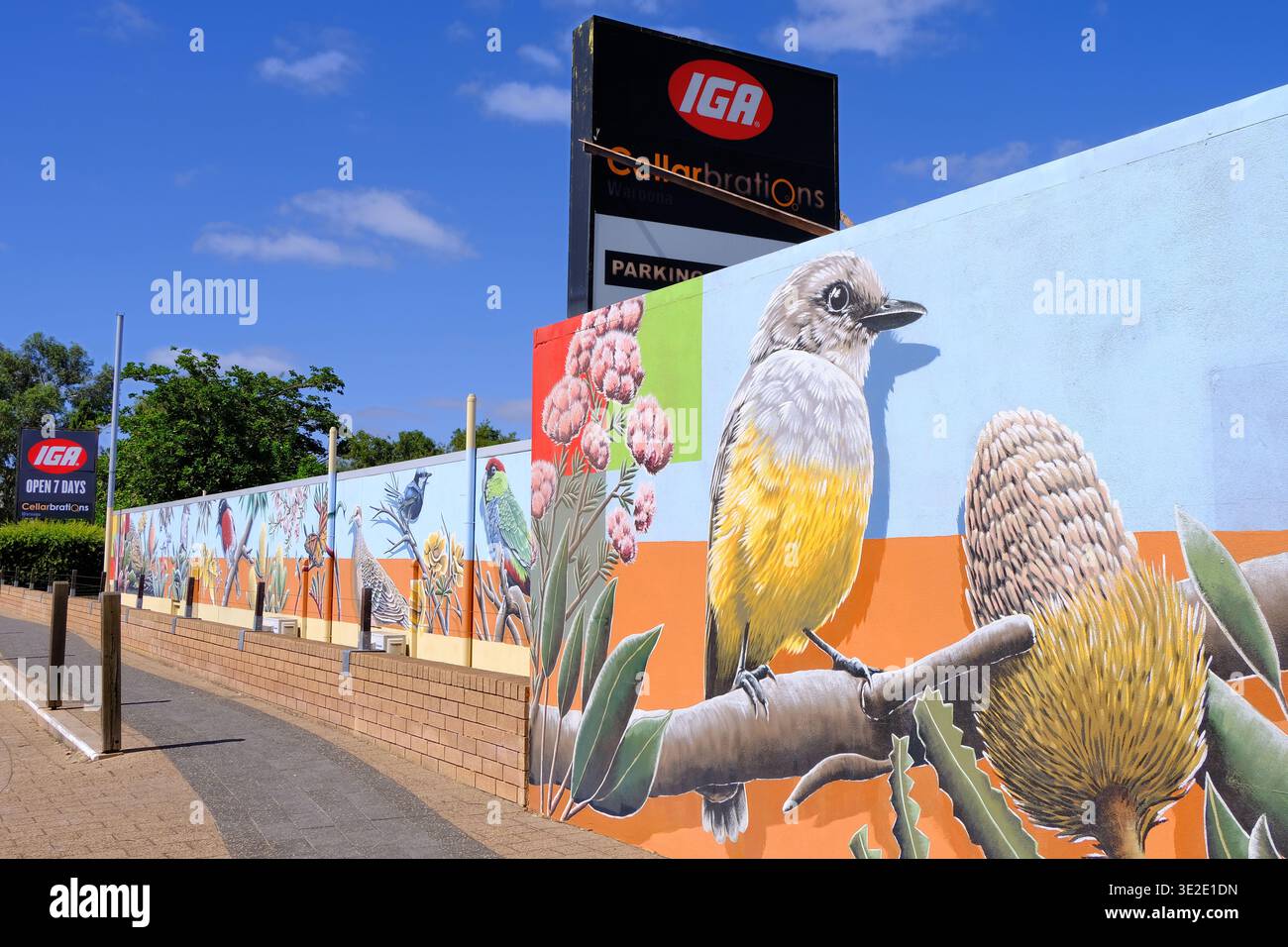 Waroona: Murale di Brenton SEE di flora e fauna su IGA, Waroona, SW Western Australia Foto Stock