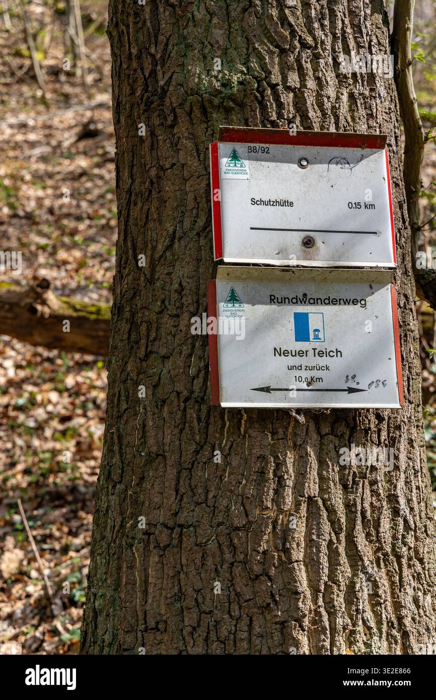 Beschilderung der Wanderwege im Harz Foto Stock