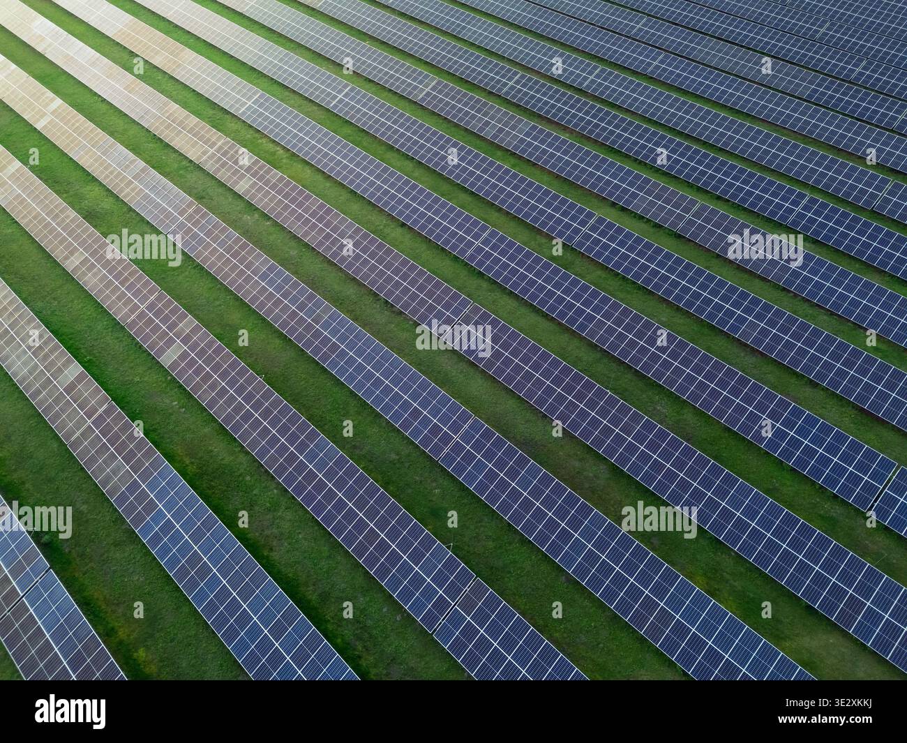 File di pannelli solari si estendono dall'alto attraverso un campo di erba verde, mostrando energia pulita in azione e motivi geometrici. Foto Stock