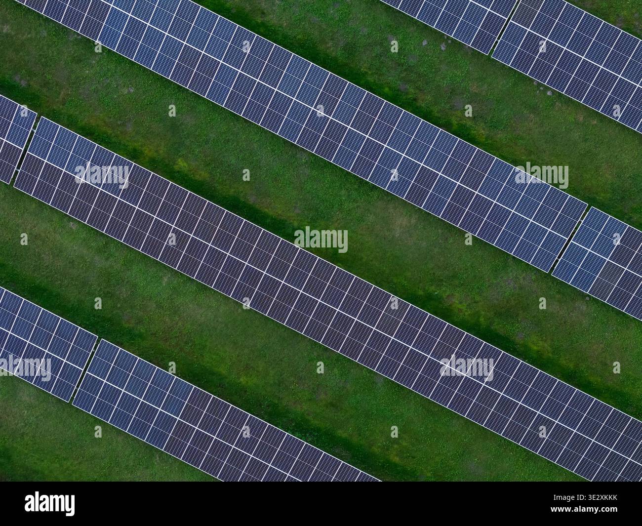 Vista dettagliata dei pannelli solari disposti in righe su un campo verde che mostra la configurazione dell'energia rinnovabile e la tecnologia pulita. Foto Stock