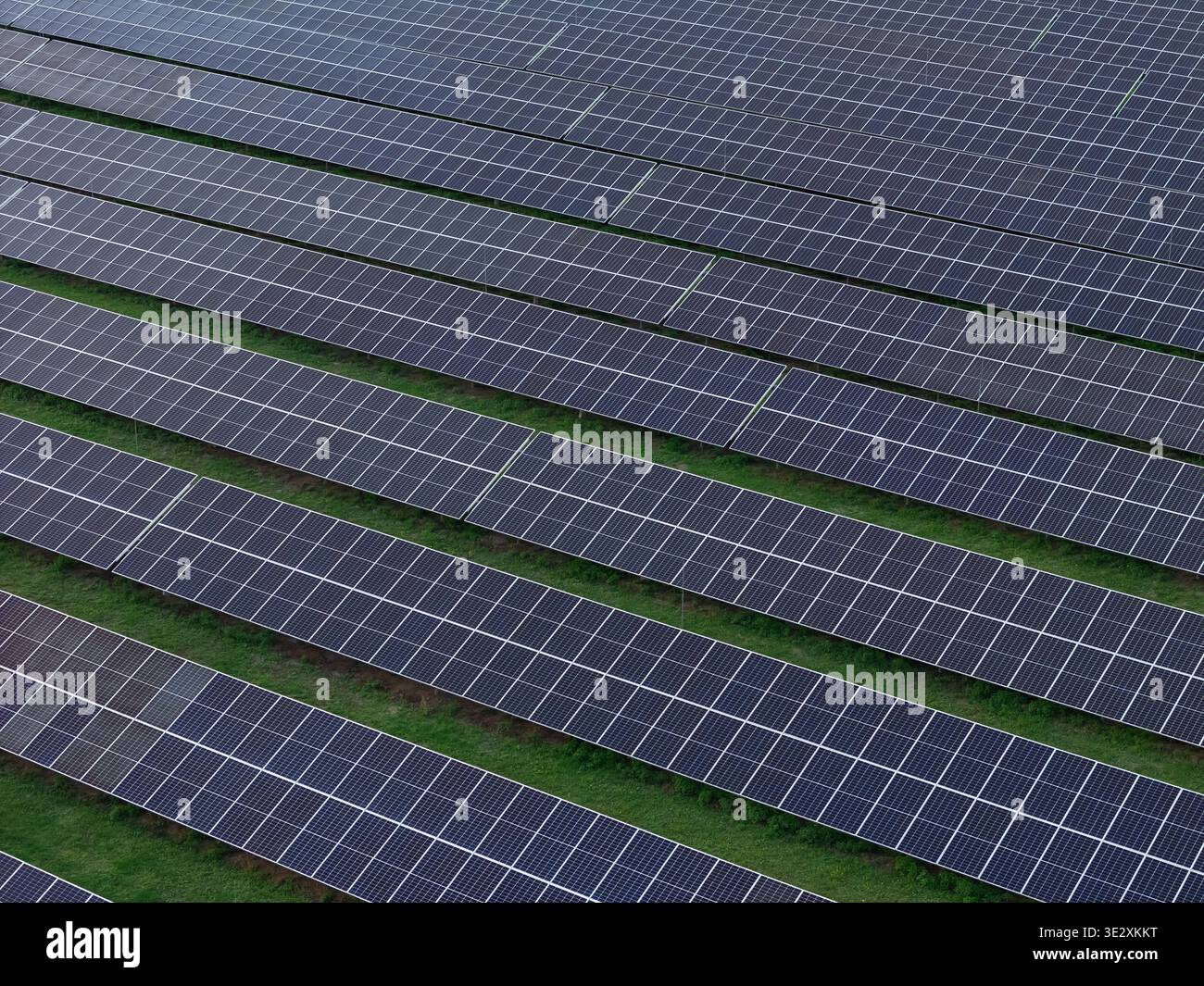 La vista aerea mostra le file di pannelli solari su un campo di erba verde, evidenziando la tecnologia delle energie rinnovabili e la sostenibilità. Foto Stock