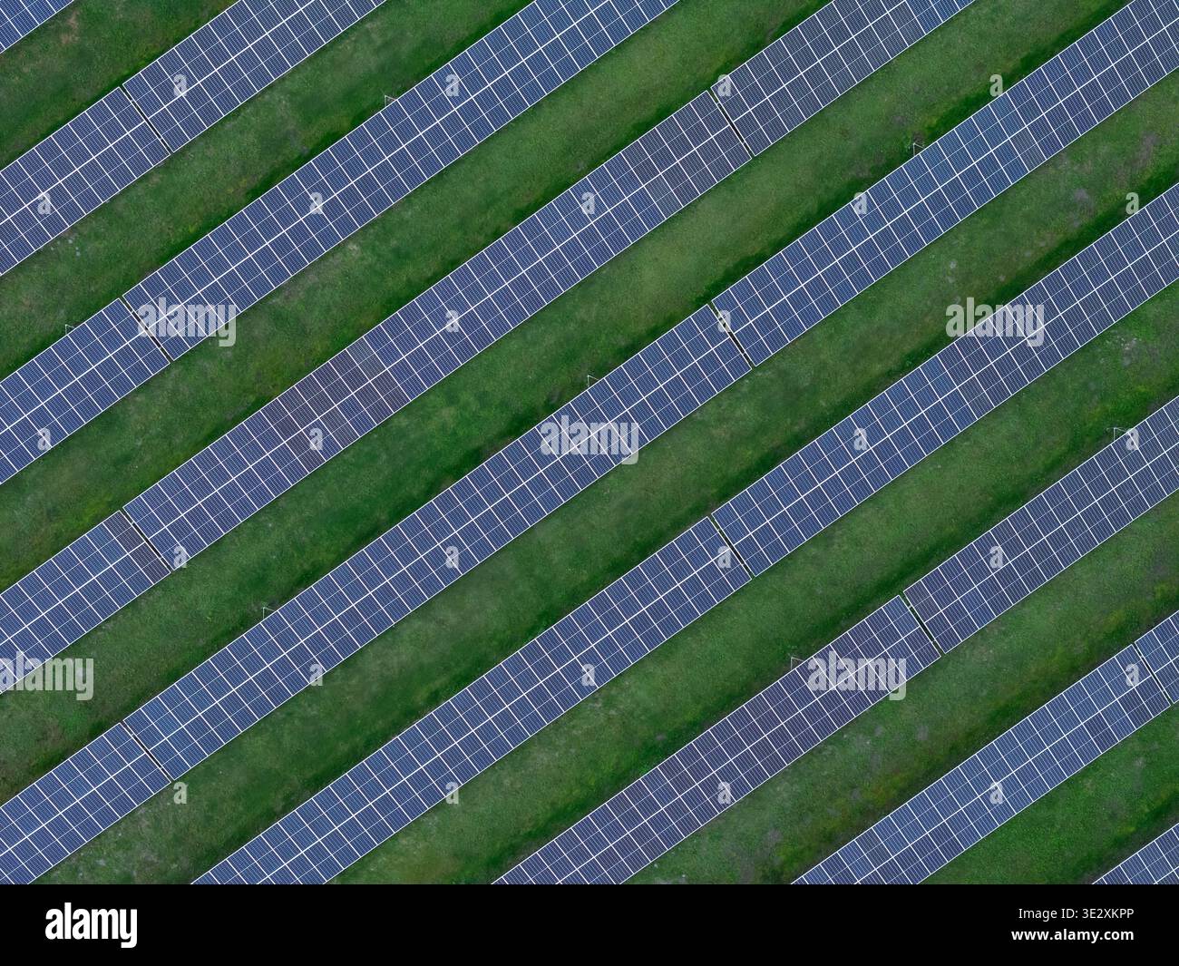 I pannelli solari coprono l'erba verde in un campo. Il layout mostra schemi geometrici puliti che evidenziano l'uso di energia rinnovabile. Foto Stock